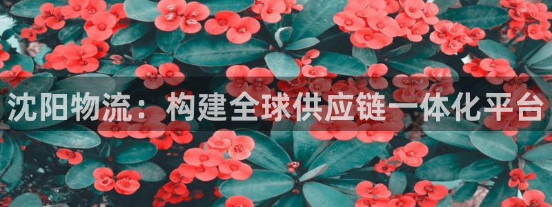 豪门国际推广链接是多少粉丝：沈阳物流