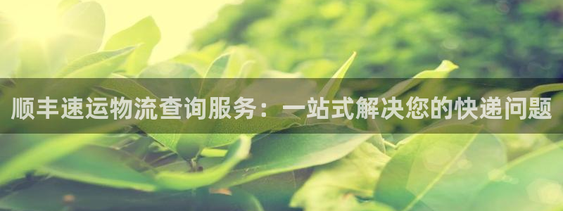 豪门国际官方版正版