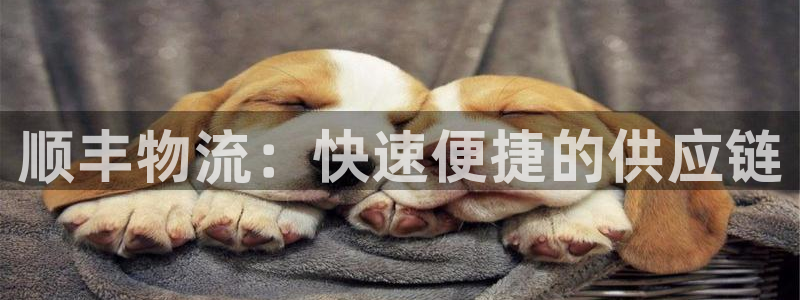 豪门国际推广链接是多少钱一个：顺丰物