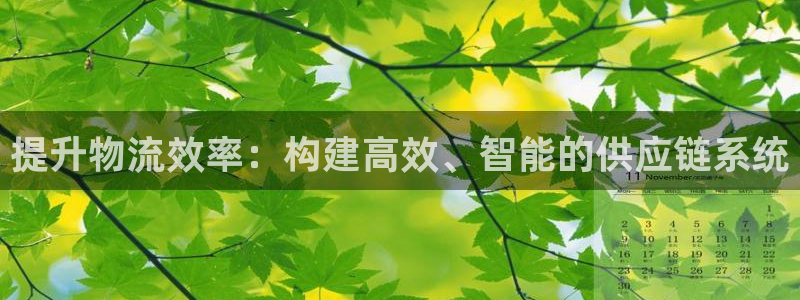加拿大豪门国际数字规则：提升物流效率