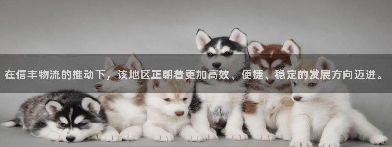 豪门国际口戒指是多大：在信丰物流的推