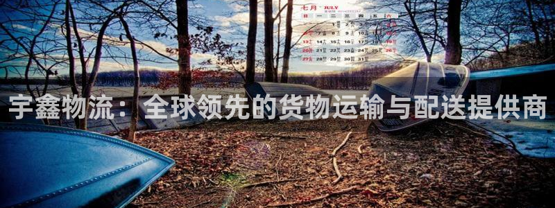 豪门国际下载不了：宇鑫物流：全球领先