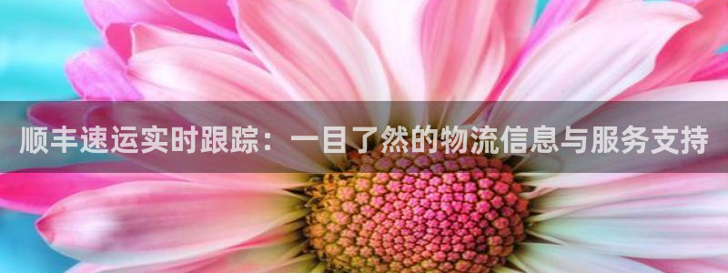 豪门国际娱乐官网网页下载：顺丰速运实