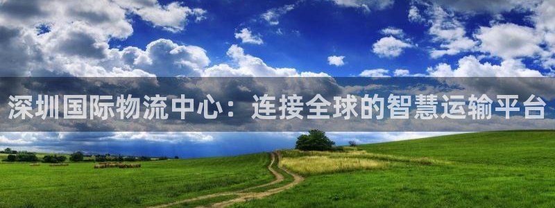 pc豪门国际怎么注册：深圳国际物流中