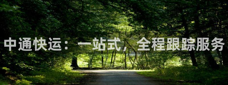 豪门国际加拿大走势：中通快运：一站式