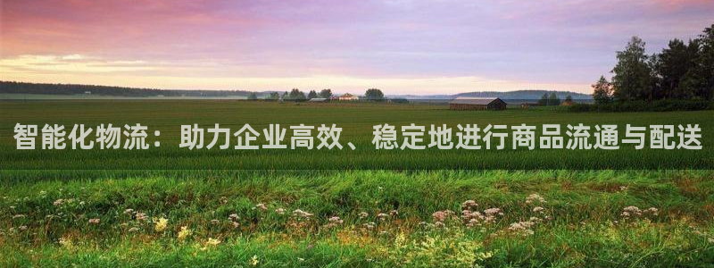 豪门国际是啥：智能化物流：助力企业高效、稳定地进行商品流通与
