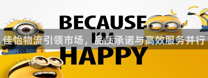 豪门国际官网网站：佳怡物流引领市场，