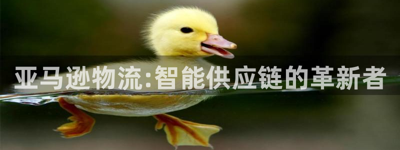 豪门国际pg麻将胡了：亚马逊物流:智