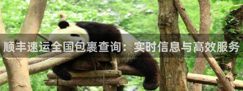 豪门国际软件：顺丰速运全国包裹查询：