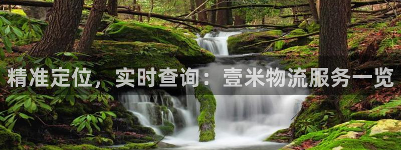 豪门国际app怎么注册账号:精准定位