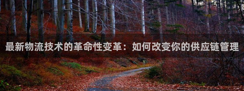 豪门国际是啥：最新物流技术的革命性变革：如何改变你的供应链管