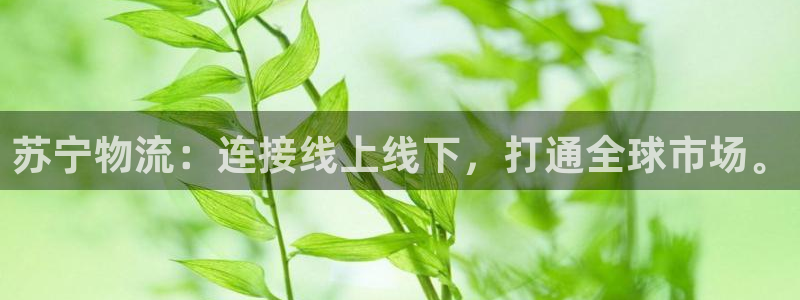 豪门国际h5链接:苏宁物流:连接线上