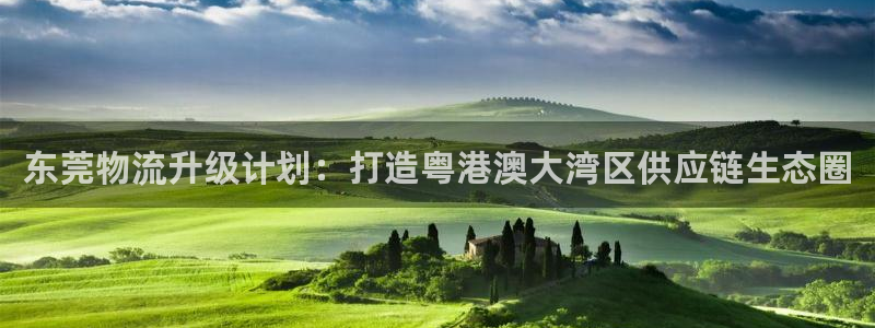 豪门国际如何退款:东莞物流升级计划: