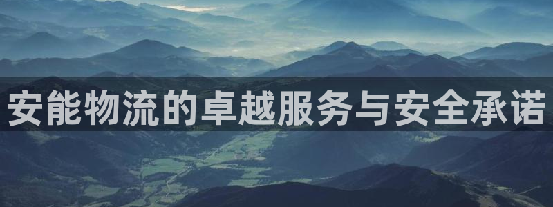 豪门国际麻将胡了在线试玩:安能物流的