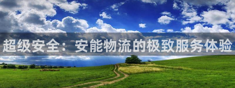 豪门国际技巧：超级安全：安能物流的极