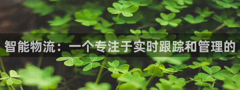 豪门国际官网下载链接是什么：智能物流