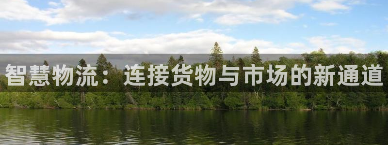 豪门国际麻将胡了：智慧物流：连接货物