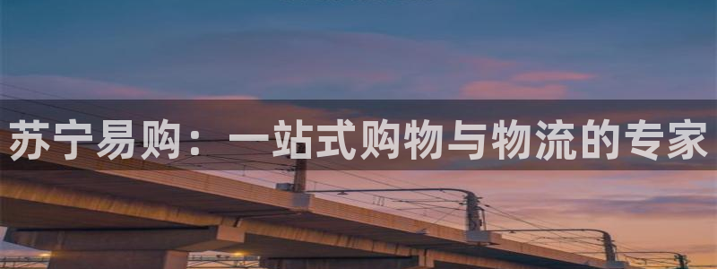 豪门国际体育下载：苏宁易购：一站式购物与物流的专家